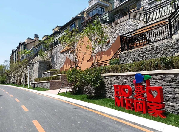 惠斯(sī)勒項目(mù)